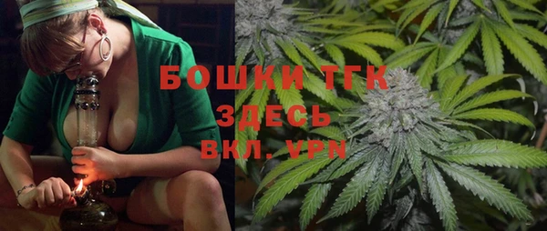 гидра Верея